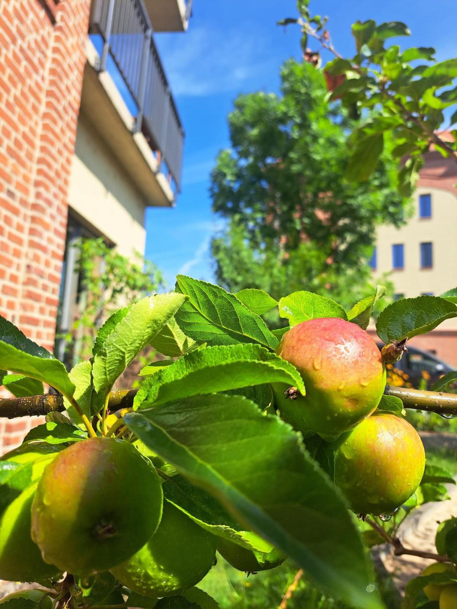 Appartamento Ferienremise Brandenburg  Esterno foto
